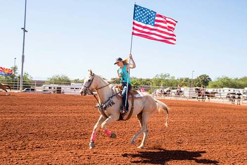 rodeo woman riding horse holding flag horse